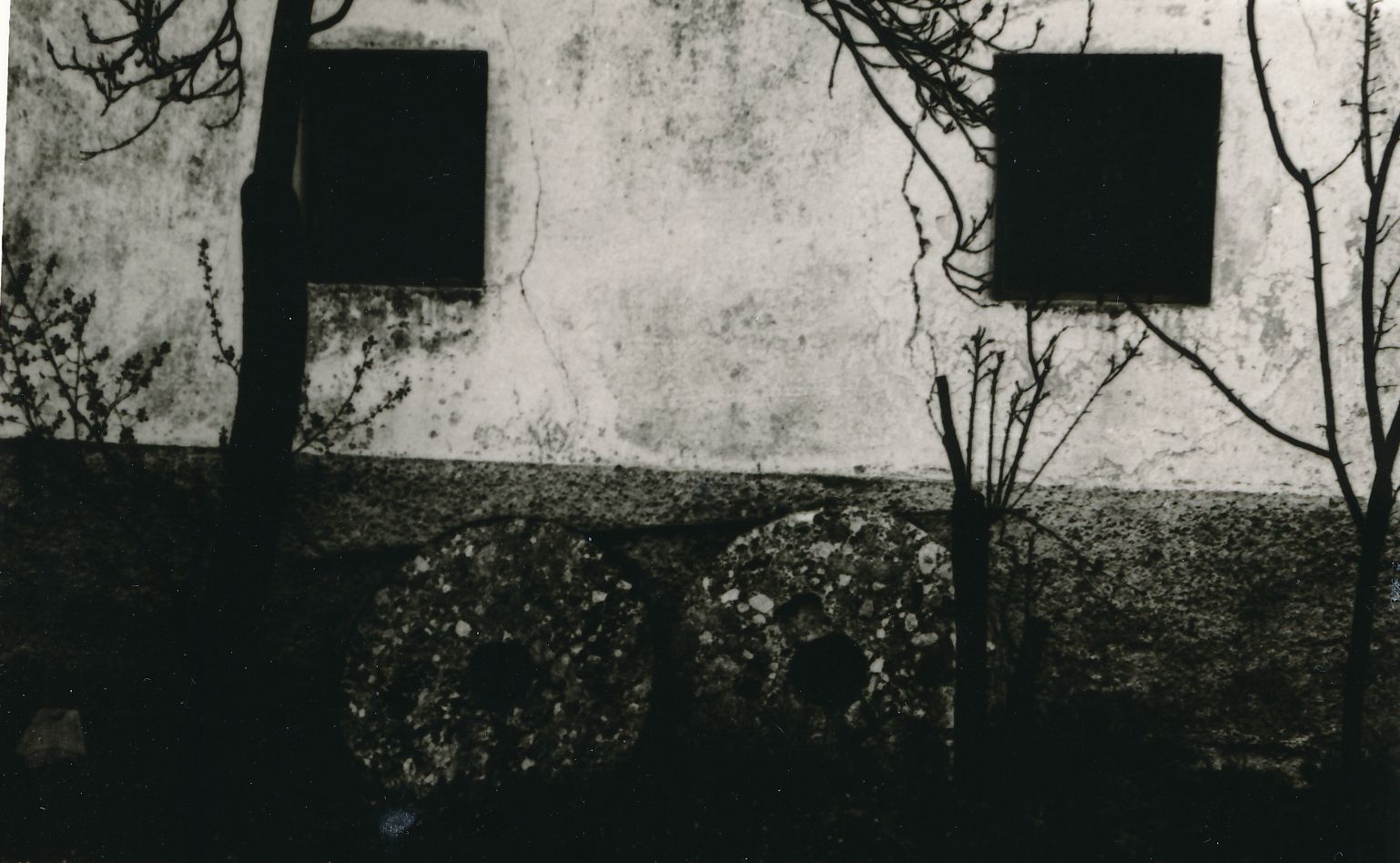 eika image